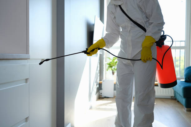 Environmental Consulting for Mold Prevention in Kingsland, GA